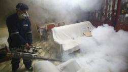 Comas: aparecen dos casos autóctonos de dengue