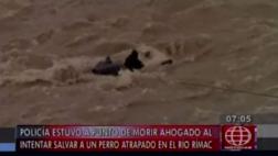 Río Rímac: ellos arriesgaron sus vidas por salvar a un perro