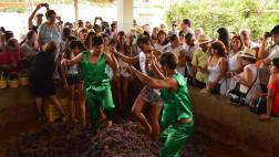 Festival de la Vendimia: Ica recibiría más de 800,000 turistas