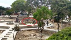 Denuncian tala de árboles en parque de Chorrillos