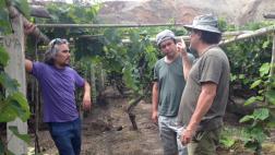 Cinestas peruanos presentan cortos pisqueros