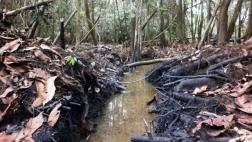 Derrame de petróleo: declaran en emergencia a 6 comunidades más