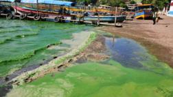 La "fórmula mágica" para limpiar un lago que desató escándalo
