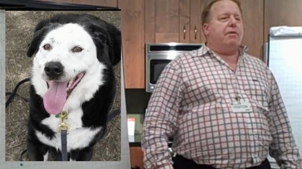 Este perro adoptado salvó su vida