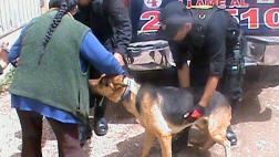 Huancayo: comerciante acuchilla a perro dentro de un mercado