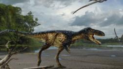 Este fósil ayudaría a resolver el mayor misterio del T-Rex