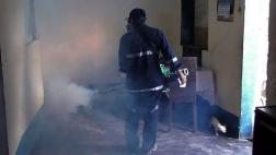 Minsa declara en emergencia a 14 regiones por el dengue