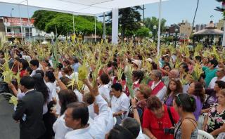Surco: con entrega de mil palmas se celebró el Domingo de Ramos