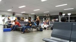 Otro incidente aéreo causado por un ave, esta vez en Tumbes