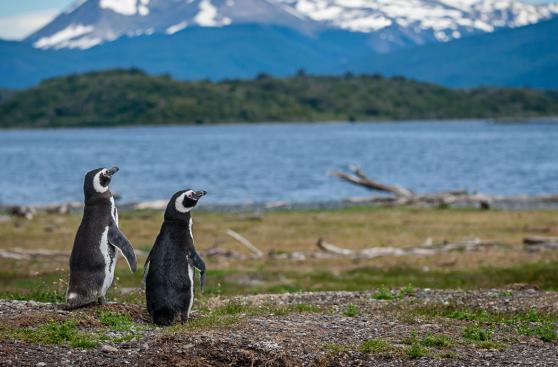 En La Patagonia te admiras con el poder de la naturaleza