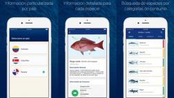 Crean app para proteger peces en Colombia, Costa Rica y Panamá