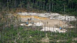 ONU pide a América Latina reducir deforestación de los bosques