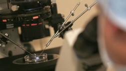 Perú: Negocio de la fertilidad movería US$120 mlls. el 2021