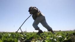 ¿Qué cubre el Seguro Complementario de Trabajo de Riesgo?