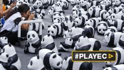 Una "manada" de 1.600 osos panda invade Bangkok para salvarse
