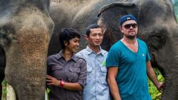 Leonardo DiCaprio se reúne con ambientalistas en Indonesia