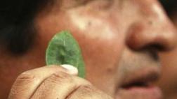Bolivia: ¿El narcotráfico penetró estructuras del Estado?