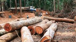 TC admitió demanda contra ley del ‘paquetazo ambiental’