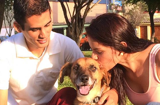 Este perro pasó de la calle a la gloria