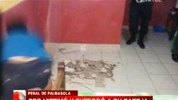 Reo de Bolivia asesinó y enterró a su esposa en su propia celda