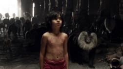 ¿Con ganas de ir al cine? Estos son los estrenos de la semana