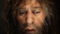 Secuencian por primera vez genes del cromosoma Y del Neandertal