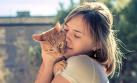 La indiferencia de los gatos: ¿Me quiere o no me quiere?
