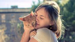 La indiferencia de los gatos: ¿Me quiere o no me quiere?