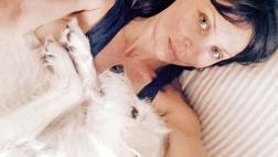 Perro le enseña que el amor no tiene raza ni fronteras
