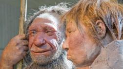El misterio del cromosoma que nos separó de los neandertales