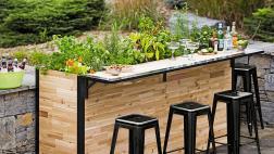 Cuida tus plantas mientras disfrutas de una bebida en este bar