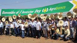 Agrobanco prevé colocar créditos por S/1.900 millones este año