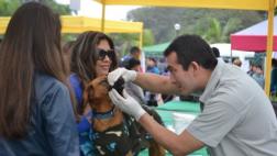 Lince inaugura este viernes consultorio veterinario municipal