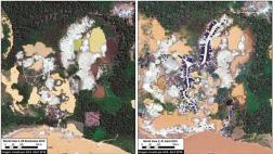 Madre de Dios: minería ilegal se intensifica en zona reservada