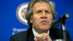 Titular de la OEA calificó de "golpe" el proceso contra Dilma