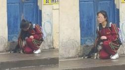 Tierno gesto de una escolar para proteger a un can en Huancayo