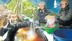 Así el narcotráfico burla el control de los insumos químicos