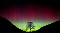 NASA muestra espectaculares imágenes de la aurora boreal