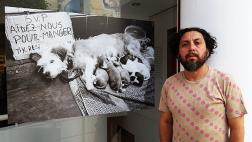 Exposición muestra la indigencia desde el drama de los animales