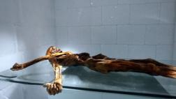 Imprimen en 3D una reproducción de la momia de Otzi