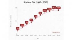 ¿Cómo van los cultivos transgénicos en el mundo?