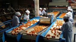 Senasa: Ecuador no permite ingreso de cinco productos peruanos