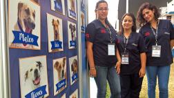 Suiza Vet y ABAXIS apuestan por perros sin hogar