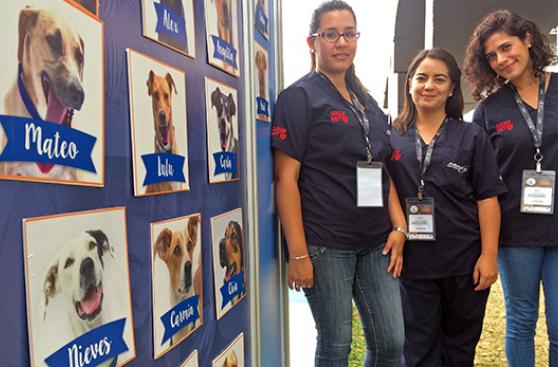 Suiza Vet y ABAXIS apuestan por perros sin hogar
