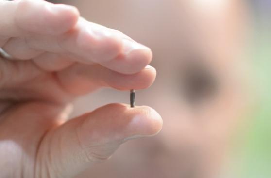 Chips bajo la piel: ¿identificación práctica o invasiva?