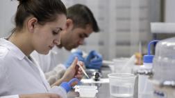 Crean material flexible a partir de proteínas cristalizadas
