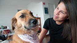 Esta perrita apagó el silencio con amor