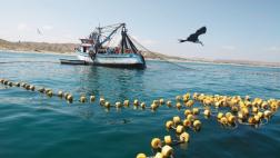 Petróleo o pesca, la disyuntiva mar adentro