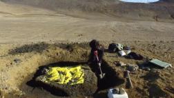 Recogen una tonelada de fósiles de dinosaurios de la Antártida