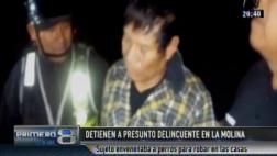 La Molina: cae ladrón que envenenaba perros para entrar a casas